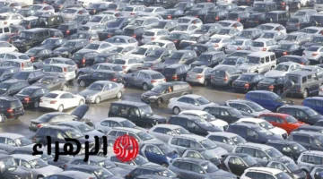 بشرى للمواطنين.. الحكومة تحدد موعد المزاد العلني لبيع سيارات بأسعار مخفضة 1